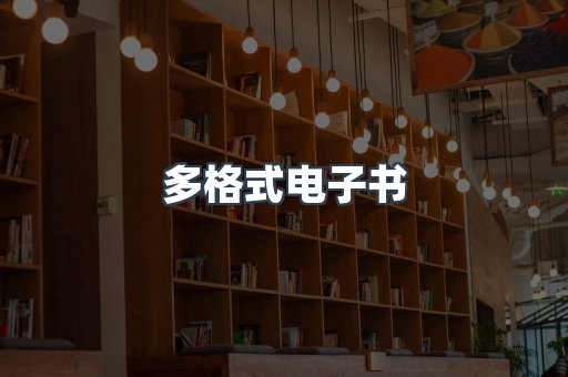 多格式电子书